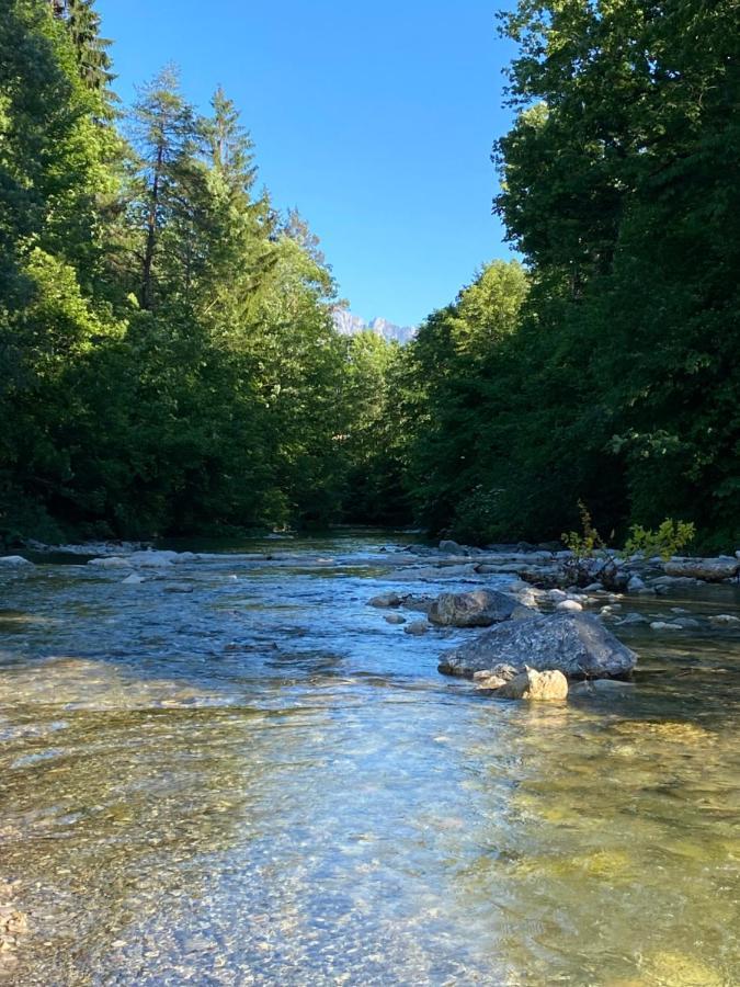Ferienwohnung Spitzstein - Alpenmagie Suites Oberaudorf Eksteriør billede